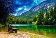 Wonderful-Mountain-landscape-with-green-pine-forest-green-turquoise-river-wallpaper-hd-672x372 (1)