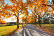 autumn-alley-park_1535923918-1038x576